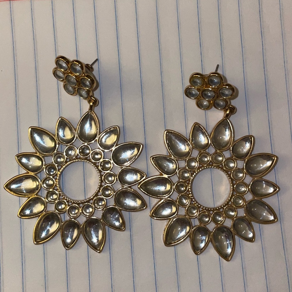 Stunning Shiny Earrings